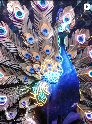 Arte oficial IA — CASANOVA, Pavo Real